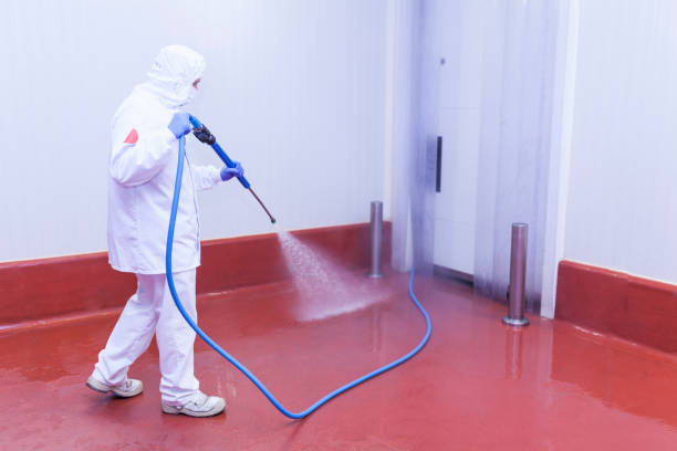 Reliable Running Springs, CA Pressure Washing Services Solutions